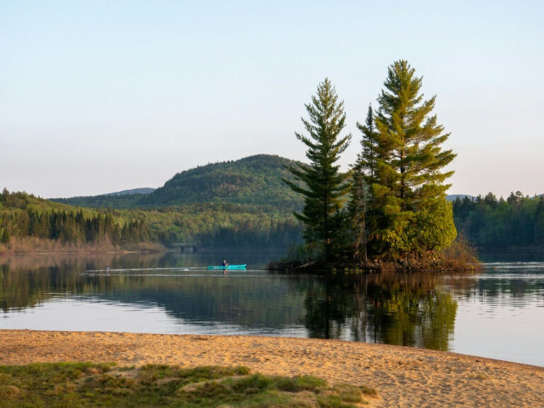 Actualité en Mauricie : tout comprendre aujourd’hui 30 Actualité en Mauricie : tout comprendre aujourd’hui
