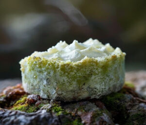 Mousses et lichens sur pavillon : traitement